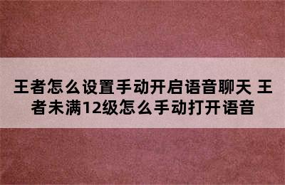 王者怎么设置手动开启语音聊天 王者未满12级怎么手动打开语音